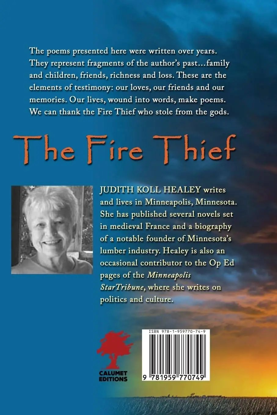 The Fire Thief - Image 2